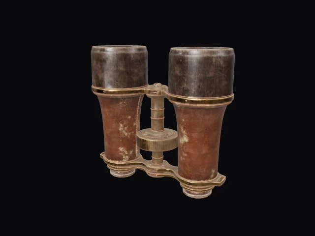 Old Binoculars